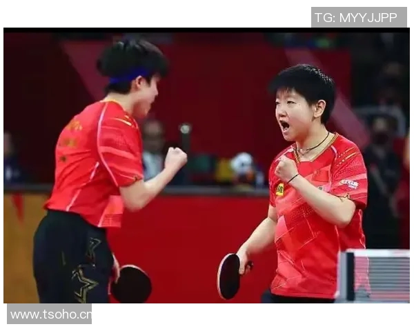 成都乒乓球队团队协作能力显著提升创新高排名引发广泛关注