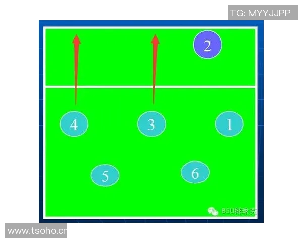 杭州排球队整体压制战术解析与深度剖析排球竞技的胜负关键